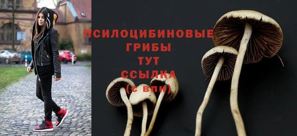 прущий лед Балабаново