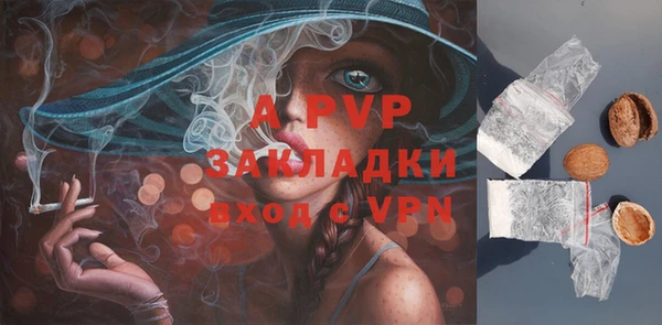 ECSTASY Баксан