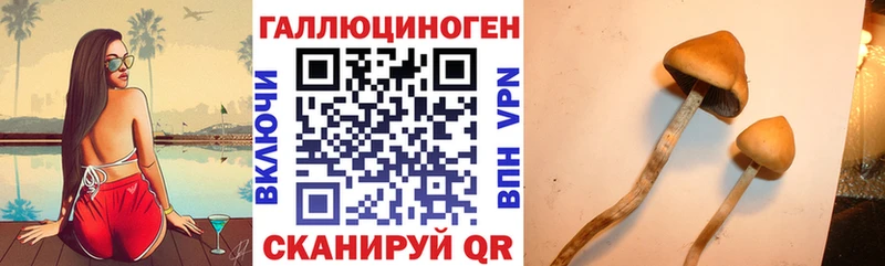 где найти наркотики  Нурлат  Псилоцибиновые грибы ЛСД 