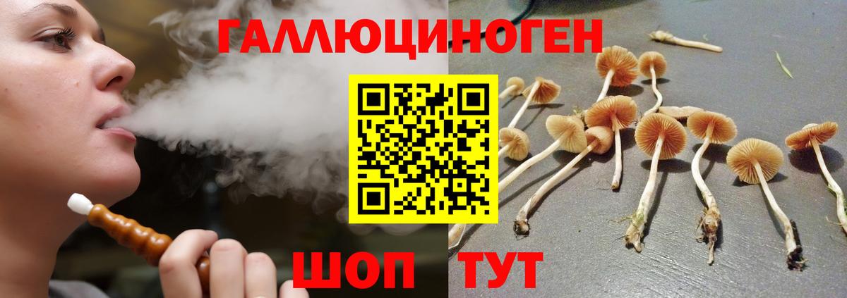 Галлюциногенные грибы мухоморы  Вход с VPN  Псилоцибиновые грибы ЛСД  Нурлат 